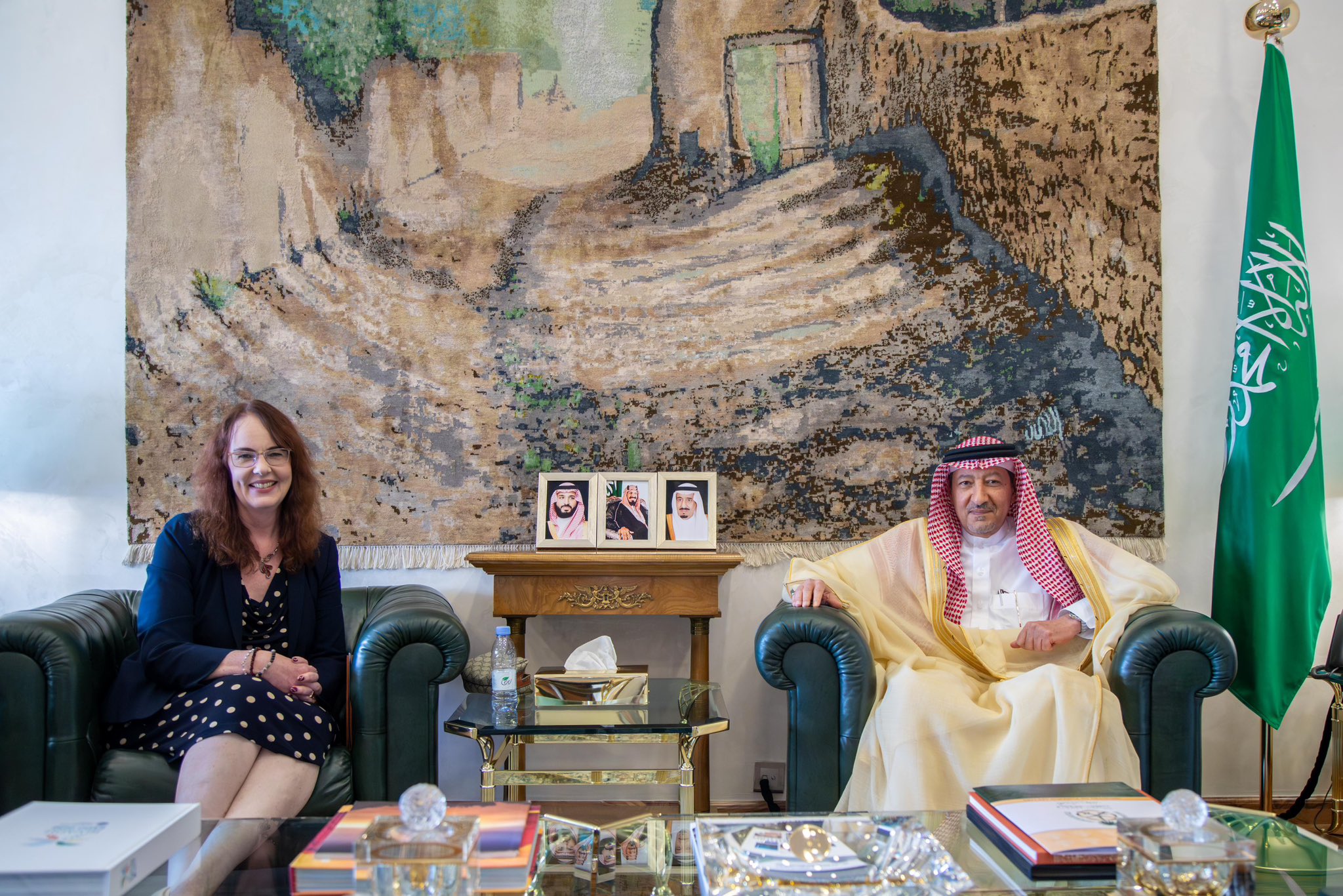 The Deputy Minister of Foreign Affairs receives the Chargé d'Affaires at the American Embassy in the Kingdom.